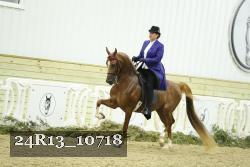 24R13_10718 thumbnail