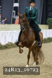 24R13_10723 thumbnail
