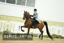 24R13_10726 thumbnail