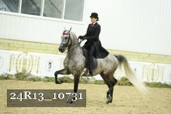 24R13_10731 thumbnail