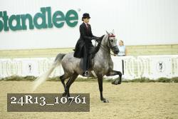 24R13_10761 thumbnail