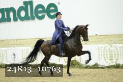 24R13_10763 thumbnail