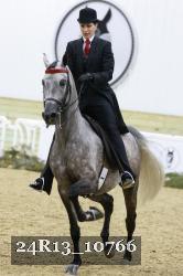 24R13_10766 thumbnail
