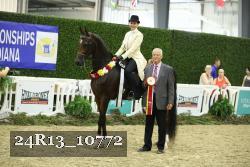 24R13_10772 thumbnail
