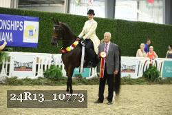 24R13_10773 thumbnail
