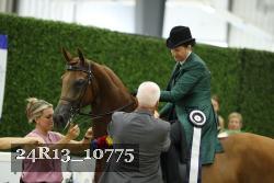 24R13_10775 thumbnail