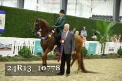 24R13_10778 thumbnail