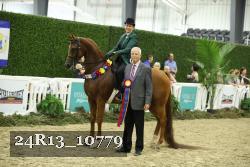 24R13_10779 thumbnail