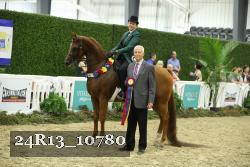 24R13_10780 thumbnail