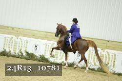 24R13_10781 thumbnail