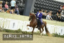 24R13_10782 thumbnail