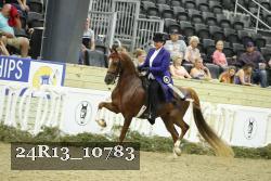24R13_10783 thumbnail