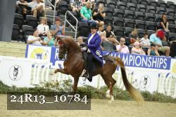 24R13_10784 thumbnail