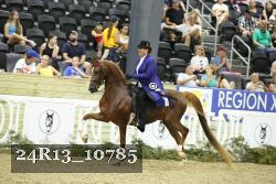 24R13_10785 thumbnail