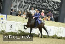 24R13_10787 thumbnail