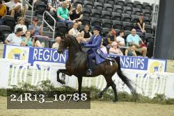 24R13_10788 thumbnail