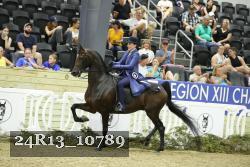 24R13_10789 thumbnail