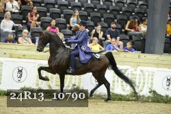 24R13_10790 thumbnail