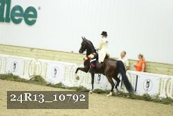 24R13_10792 thumbnail