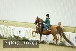 24R13_10794 thumbnail