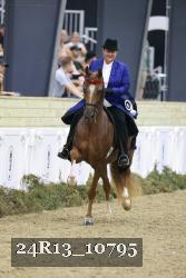 24R13_10795 thumbnail
