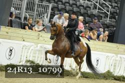 24R13_10799 thumbnail
