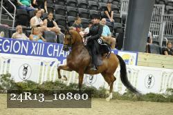 24R13_10800 thumbnail