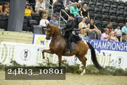 24R13_10801 thumbnail