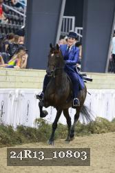 24R13_10803 thumbnail