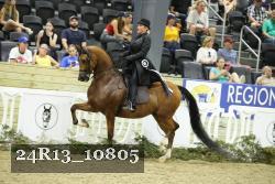 24R13_10805 thumbnail