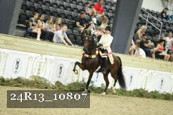 24R13_10807 thumbnail