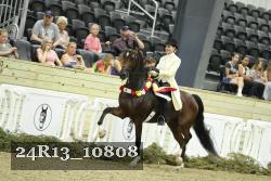 24R13_10808 thumbnail