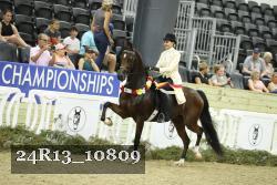 24R13_10809 thumbnail