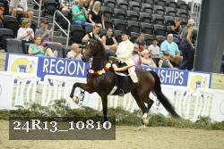 24R13_10810 thumbnail