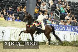 24R13_10811 thumbnail
