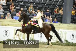 24R13_10812 thumbnail