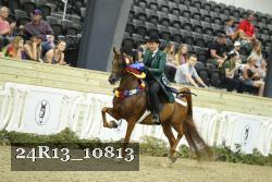 24R13_10813 thumbnail