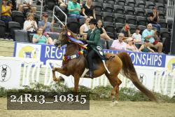 24R13_10815 thumbnail