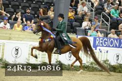 24R13_10816 thumbnail