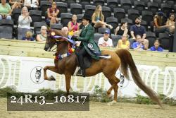 24R13_10817 thumbnail
