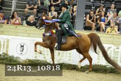 24R13_10818 thumbnail