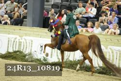 24R13_10819 thumbnail