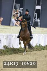 24R13_10820 thumbnail