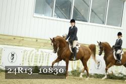 24R13_10830 thumbnail