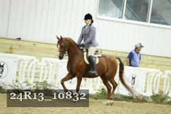 24R13_10832 thumbnail