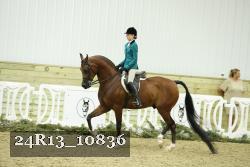 24R13_10836 thumbnail