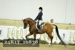 24R13_10838 thumbnail