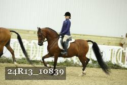 24R13_10839 thumbnail