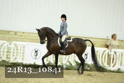 24R13_10841 thumbnail