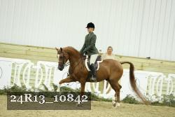 24R13_10842 thumbnail